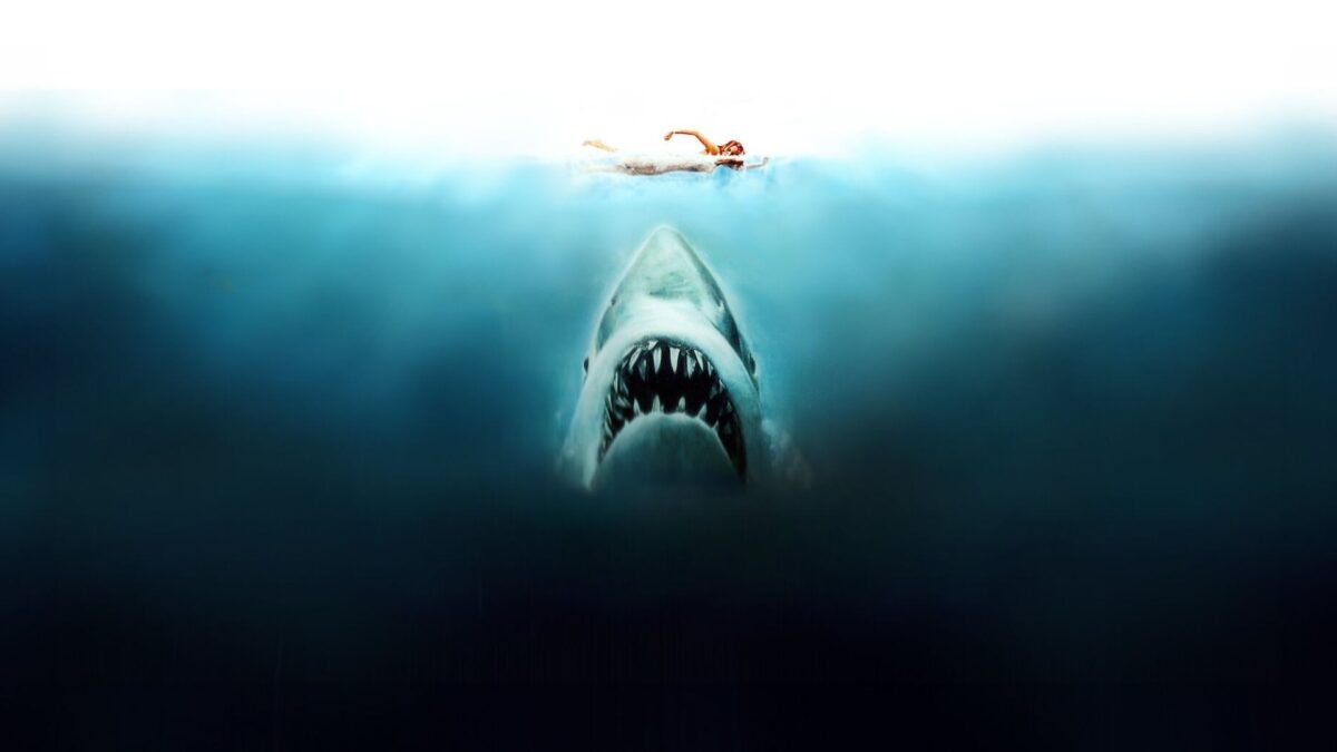 Jaws