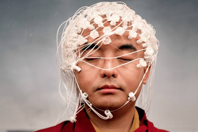 The Mind, Explained